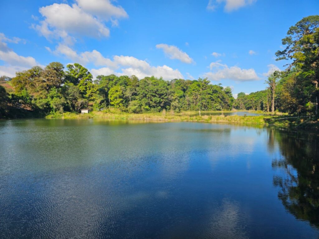 Laguna Madre Vieja, Intibuca, Intibuca