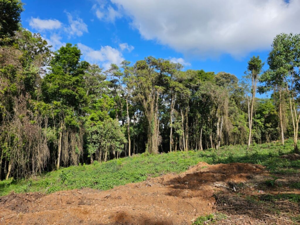 Laguna Madre Vieja, Intibucá