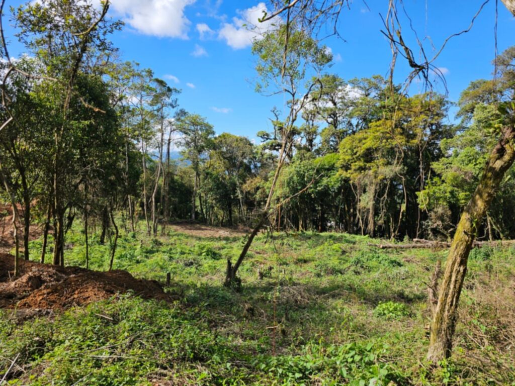 Laguna Madre Vieja, Intibucá