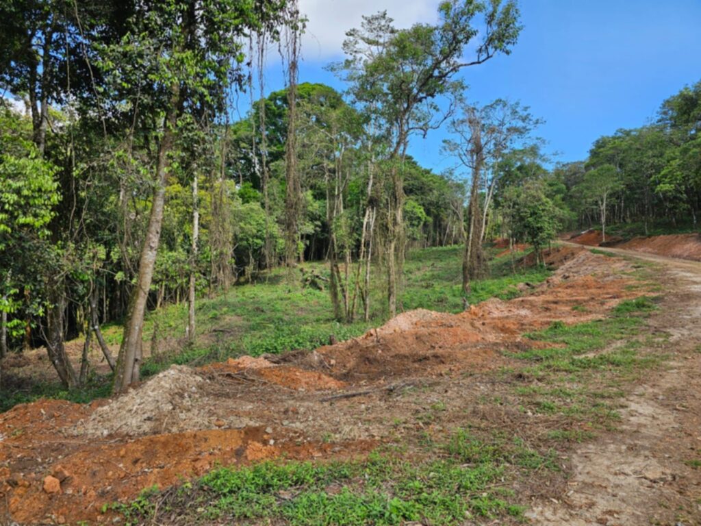 Laguna Madre Vieja, Intibucá