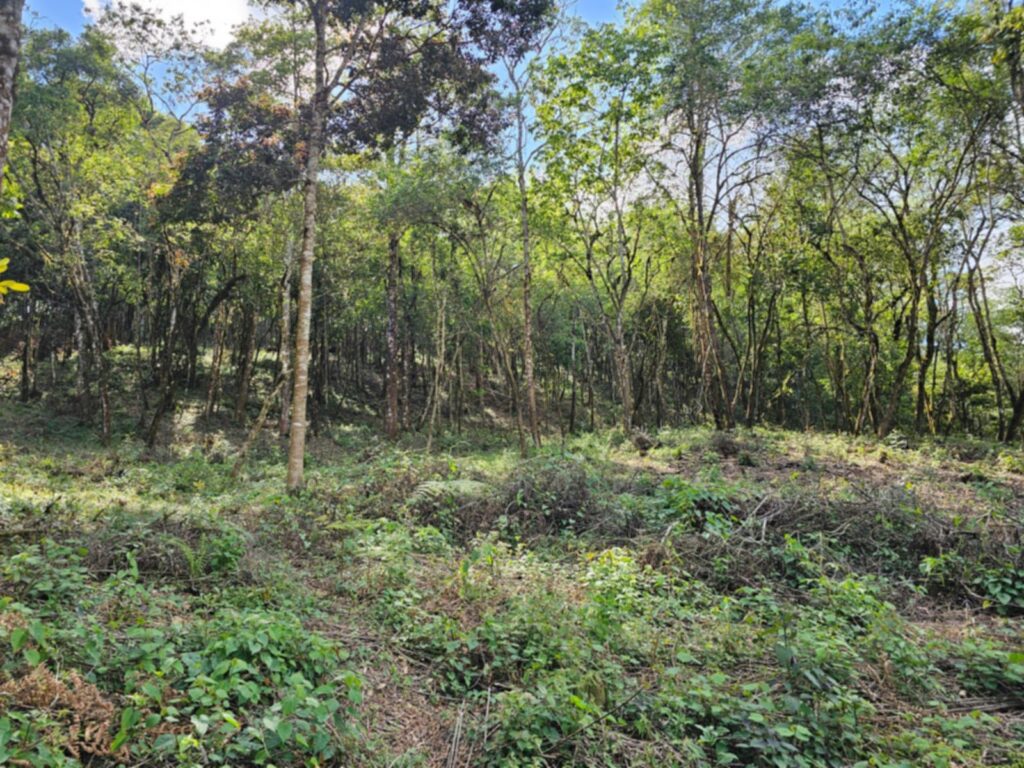 Laguna Madre Vieja, Intibucá