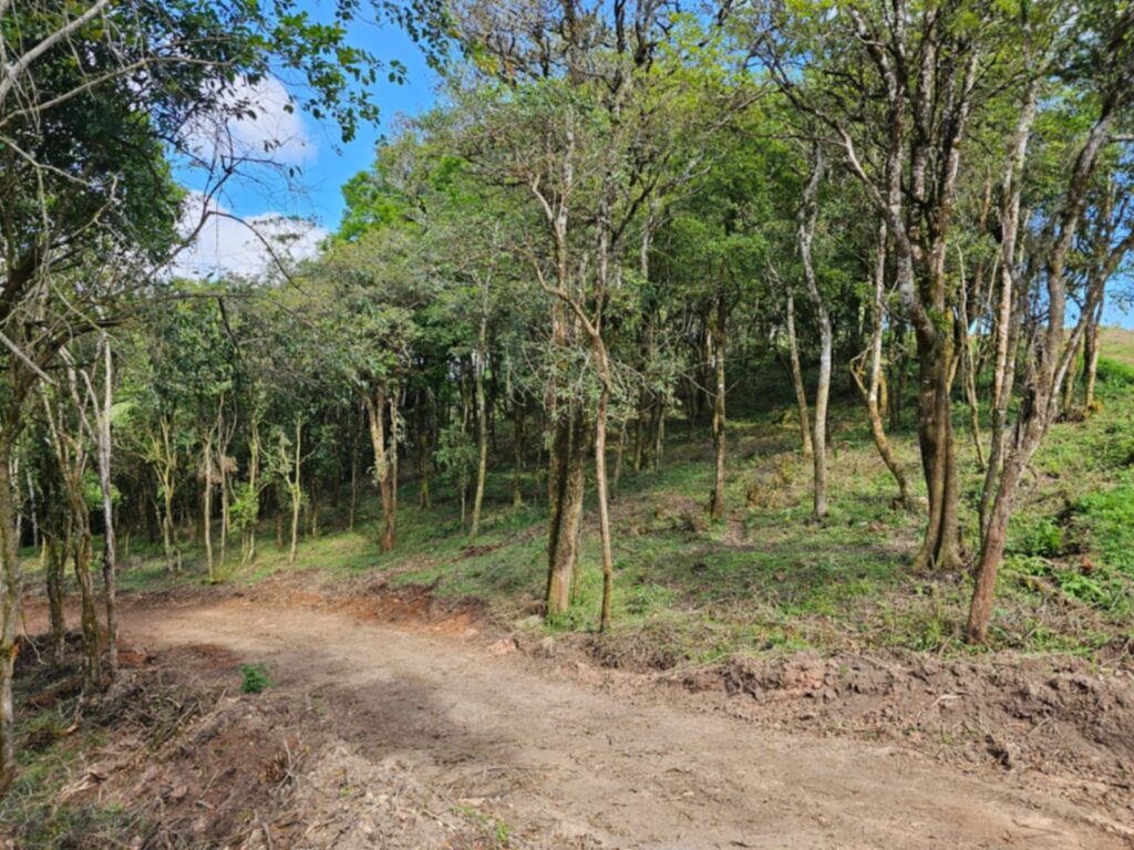 Laguna Madre Vieja, Intibucá