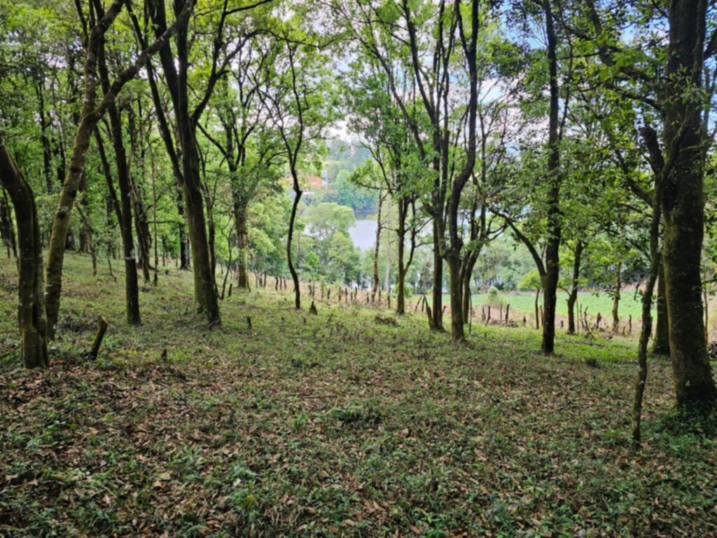 Laguna Madre Vieja, Intibucá