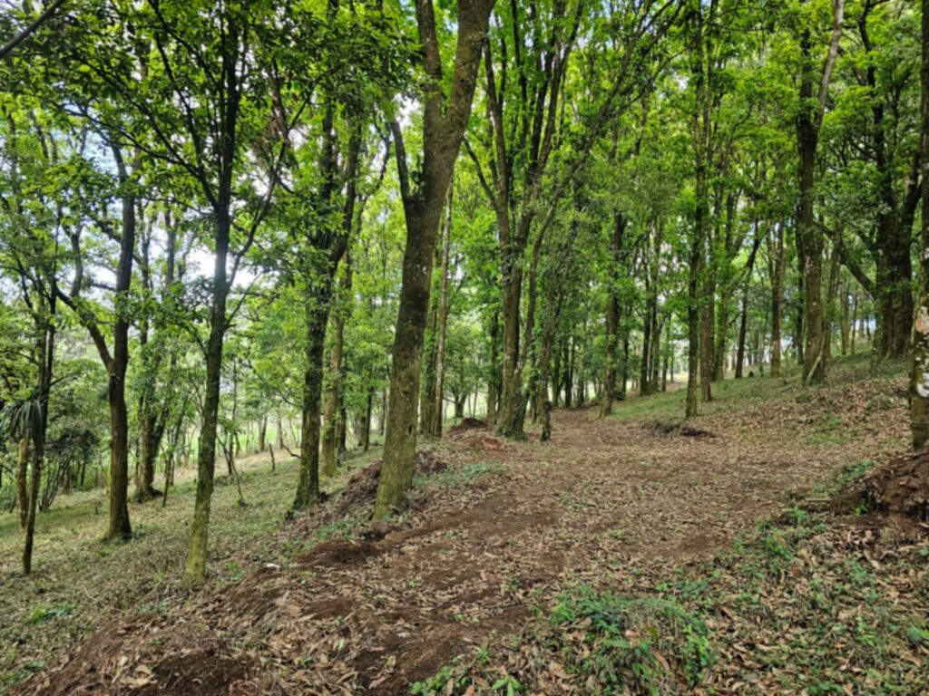 Laguna Madre Vieja, Intibucá