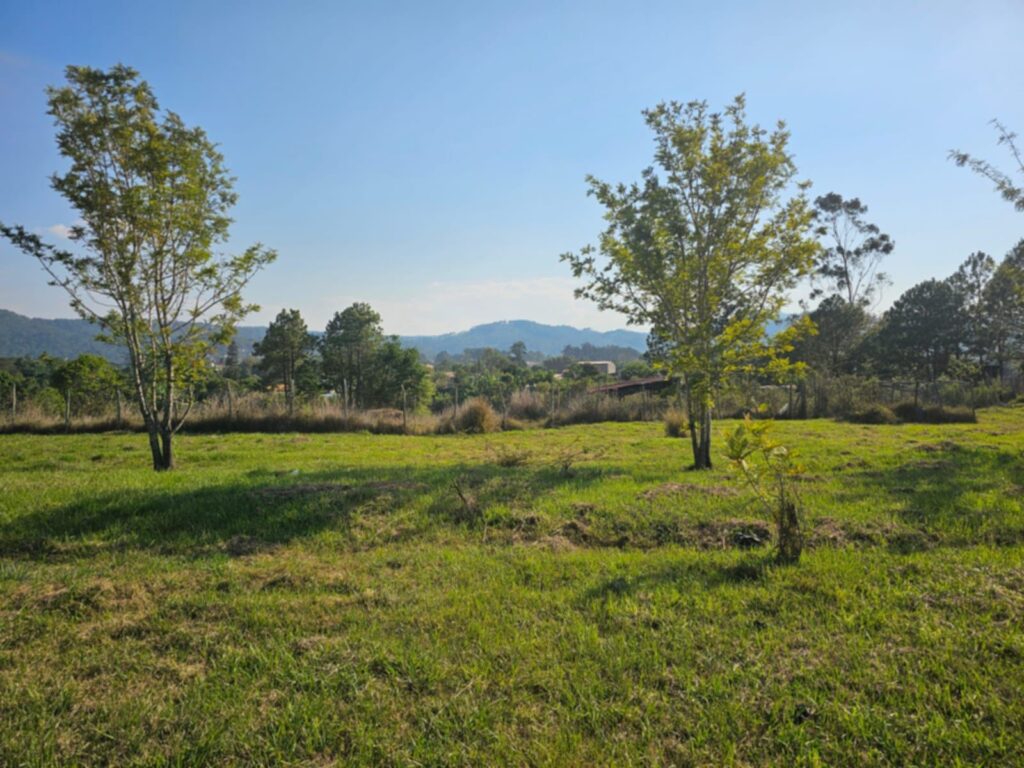 terreno-comercial-7000metros-intibuca