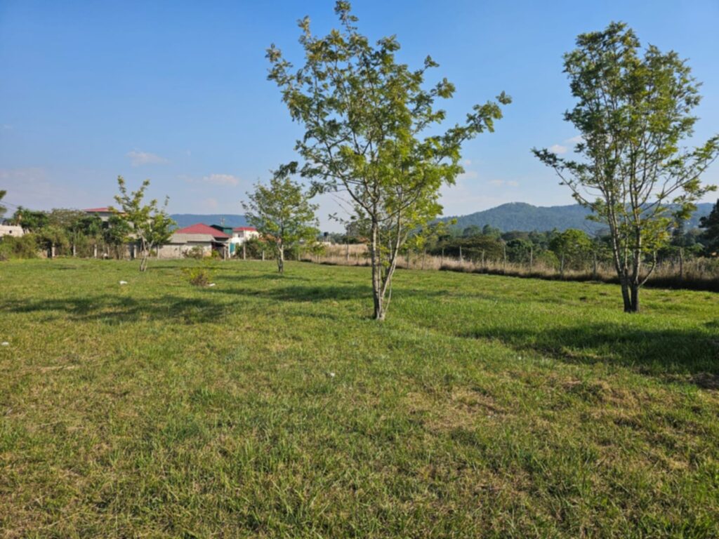 terreno-comercial-7000metros-intibuca.