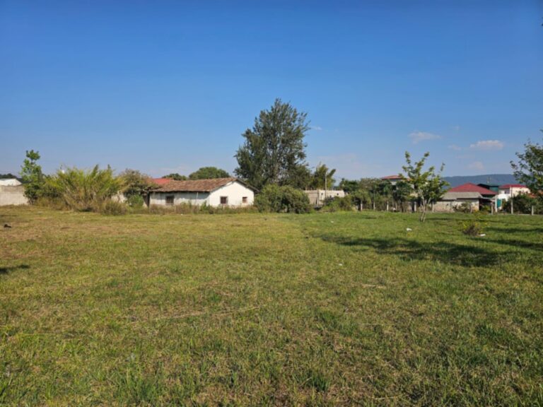 Plantel Logístico e Industrial en Renta: 7,000 M2 en Barrio Llano de la Virgen, La Esperanza