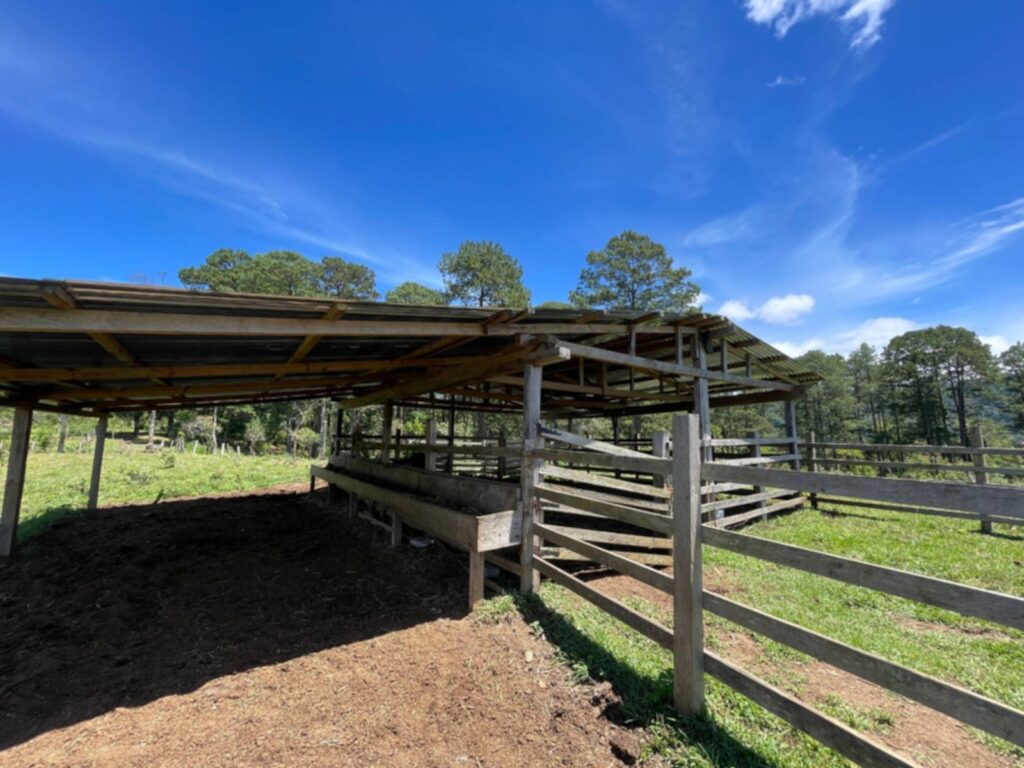 Terreno en Venta en Opatoro, La Paz: Finca Ganadera y Cafetalera de 16 Manzanas