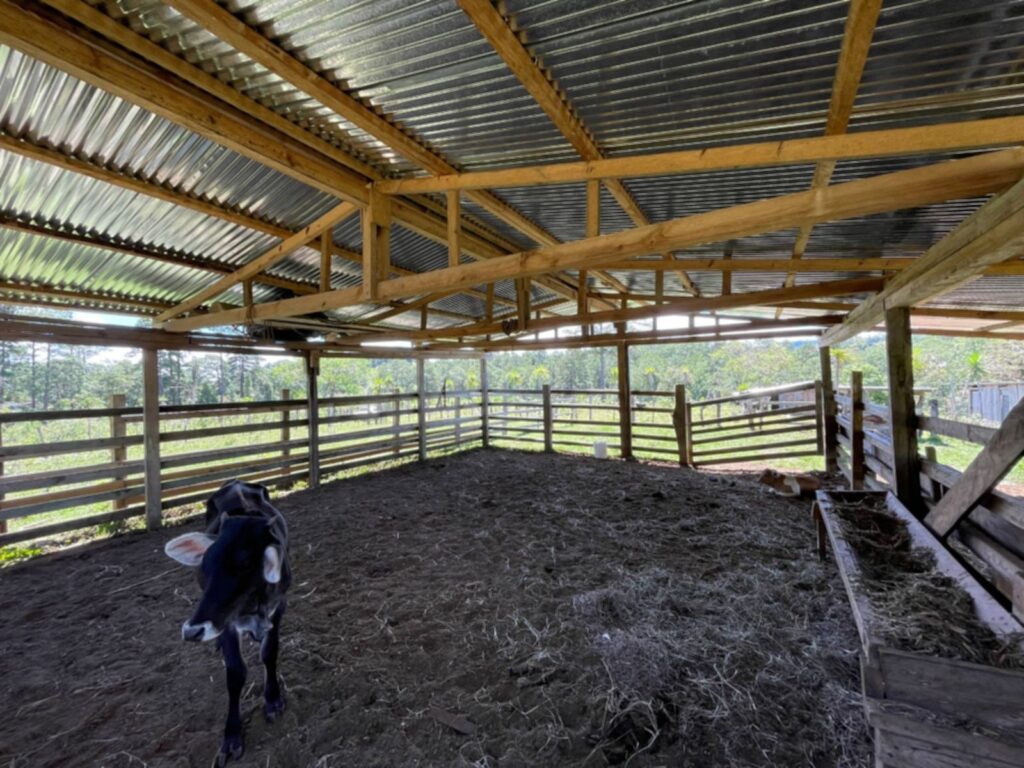Terreno en Venta en Opatoro, La Paz: Finca Ganadera y Cafetalera de 16 Manzanas
