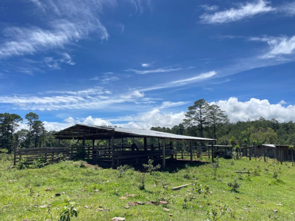 Terreno en Venta en Opatoro, La Paz: Finca Ganadera y Cafetalera de 16 Manzanas
