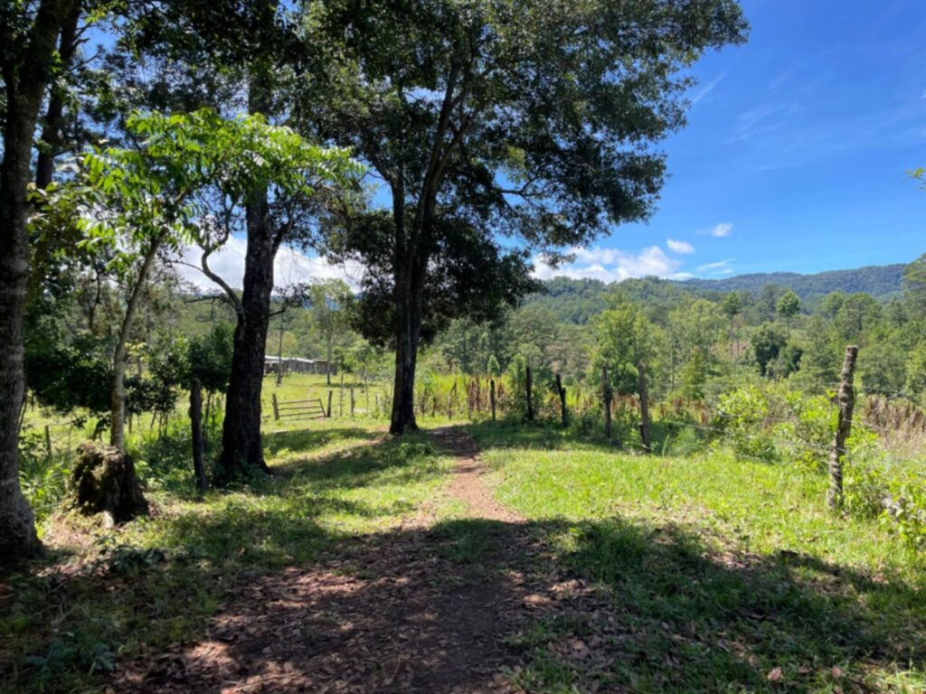 Terreno en Venta en Opatoro, La Paz: Finca Ganadera y Cafetalera de 16 Manzanas