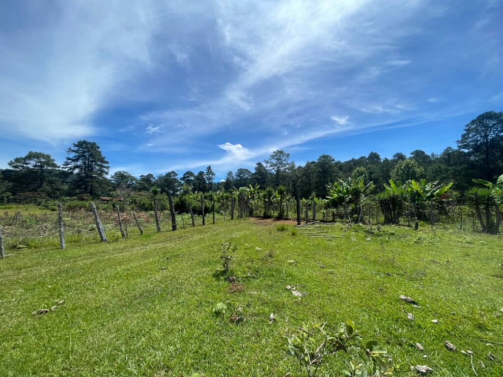 Terreno en Venta en Opatoro, La Paz: Finca Ganadera y Cafetalera de 16 Manzanas