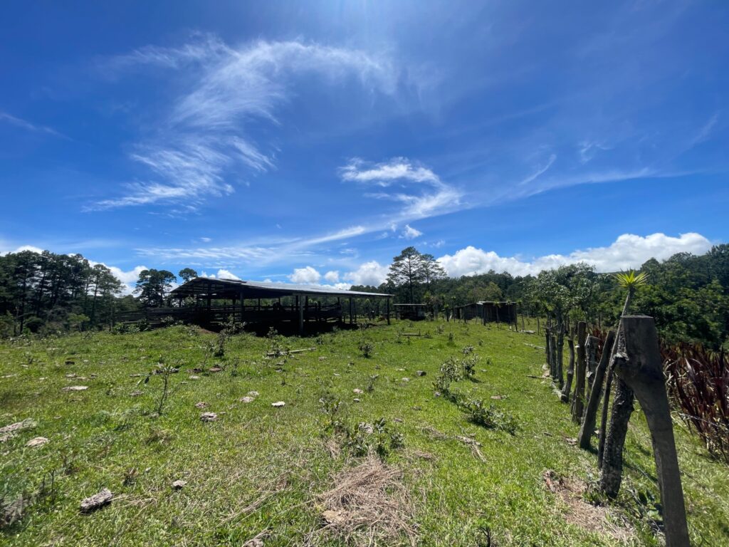 Terreno en Venta en Opatoro, La Paz: Finca Ganadera y Cafetalera de 16 Manzanas