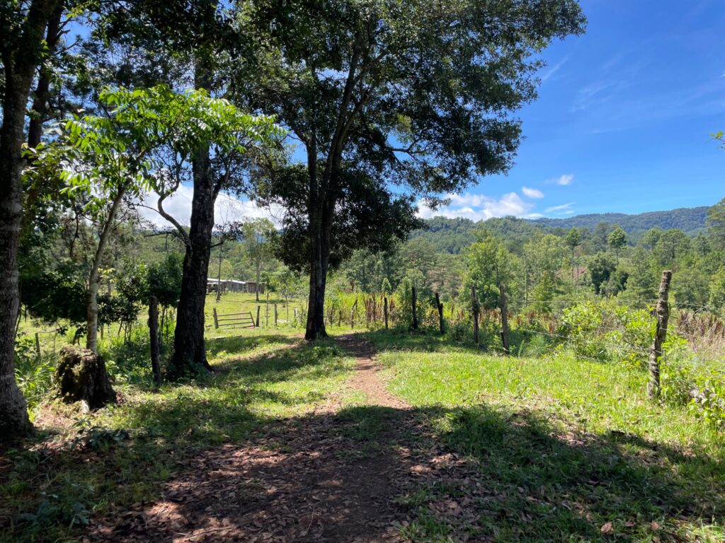 Terreno en Venta en Opatoro, La Paz: Finca Ganadera y Cafetalera de 16 Manzanas