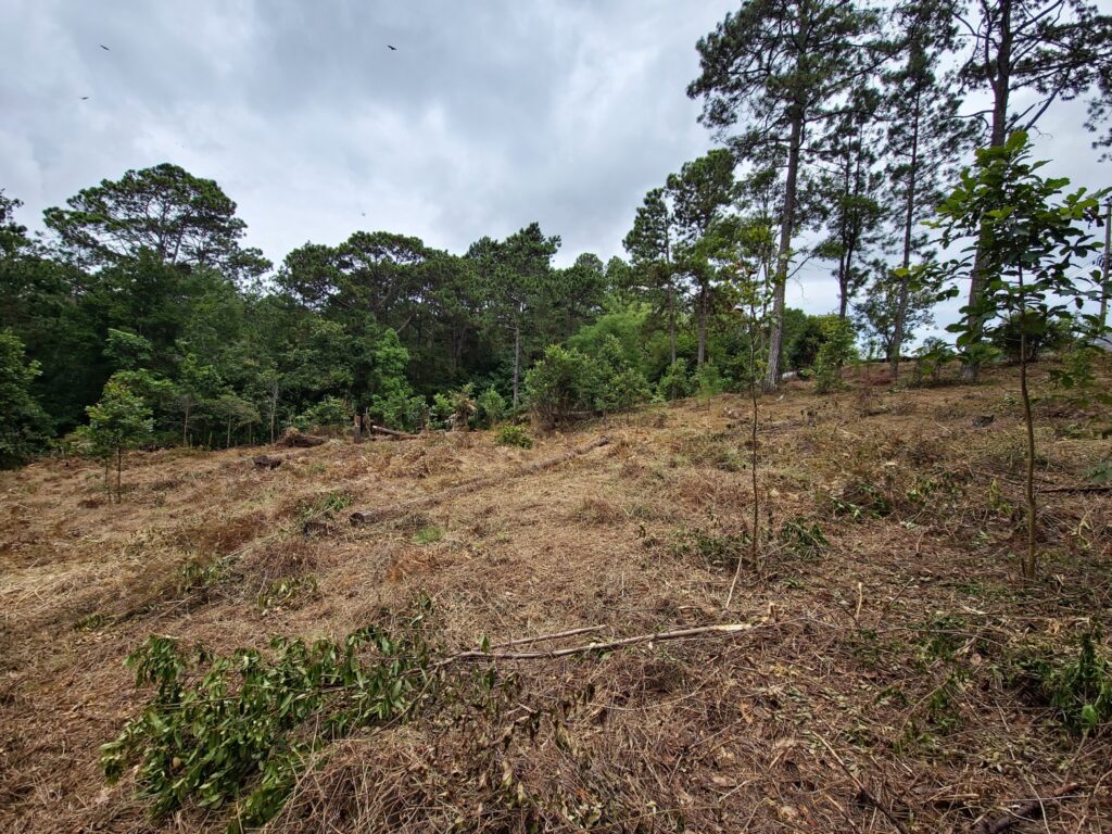 Terreno de 3346.85 metros cuadrados en venta en salida a Yamaranguila Intibucá frente a carretera pavimentada