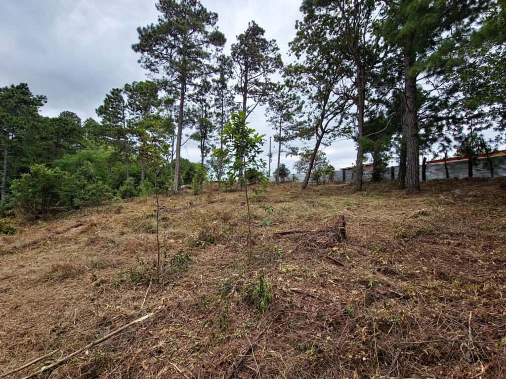 Terreno de 3346.85 metros cuadrados en venta en salida a Yamaranguila Intibucá frente a carretera pavimentada