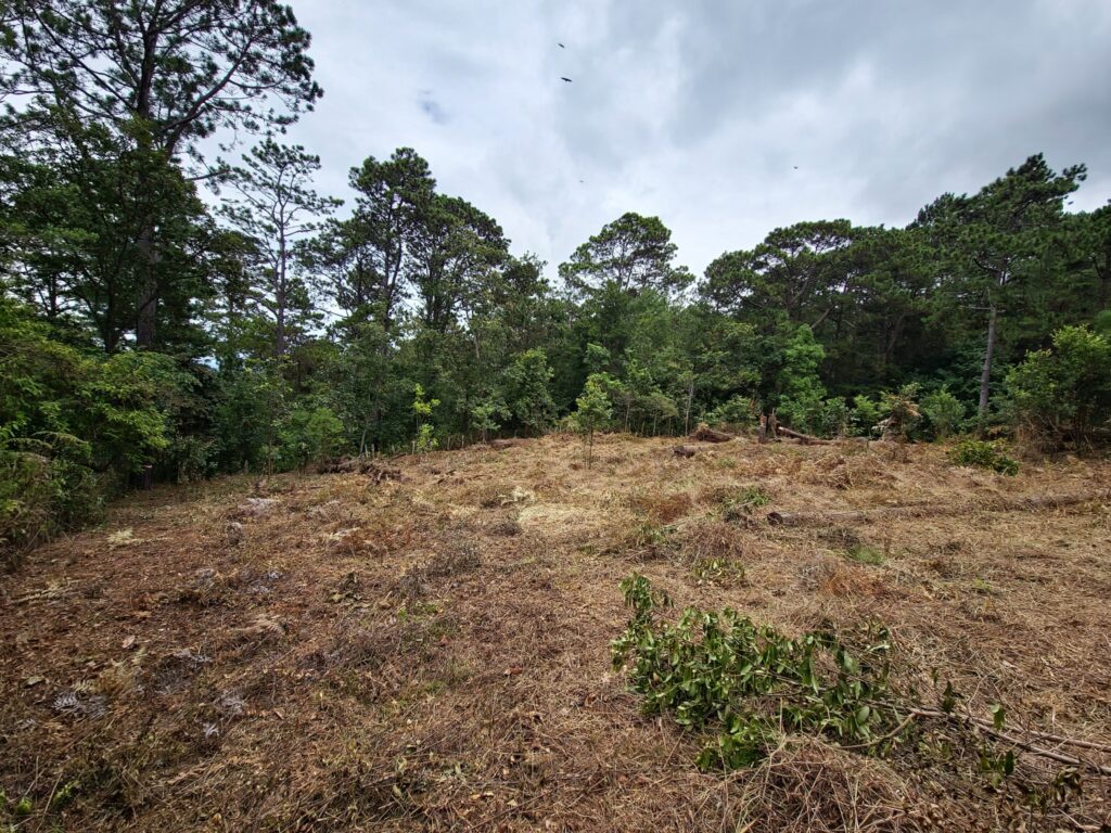 Terreno de 3346.85 metros cuadrados en venta en salida a Yamaranguila Intibucá frente a carretera pavimentada